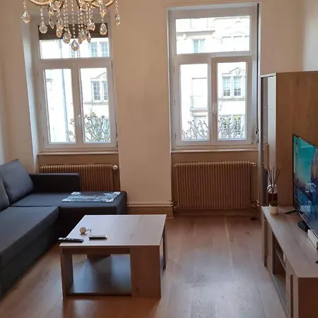 Grand 4p Orangerie 7 Personnes Proche D Allemagne * Strasbourg