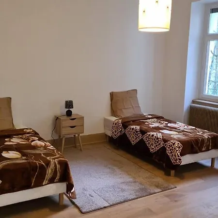 Grand 4p Orangerie 7 Personnes Proche D Allemagne Apartment