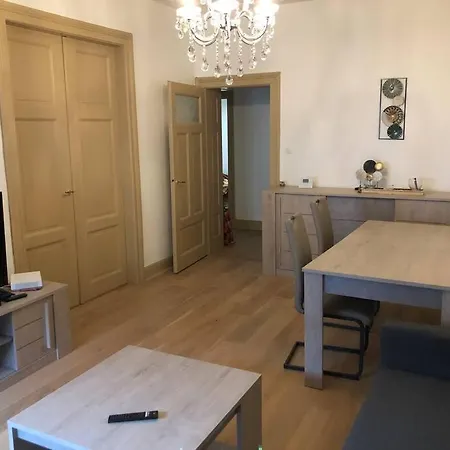Grand 4p Orangerie 7 Personnes Proche D Allemagne Strasbourg