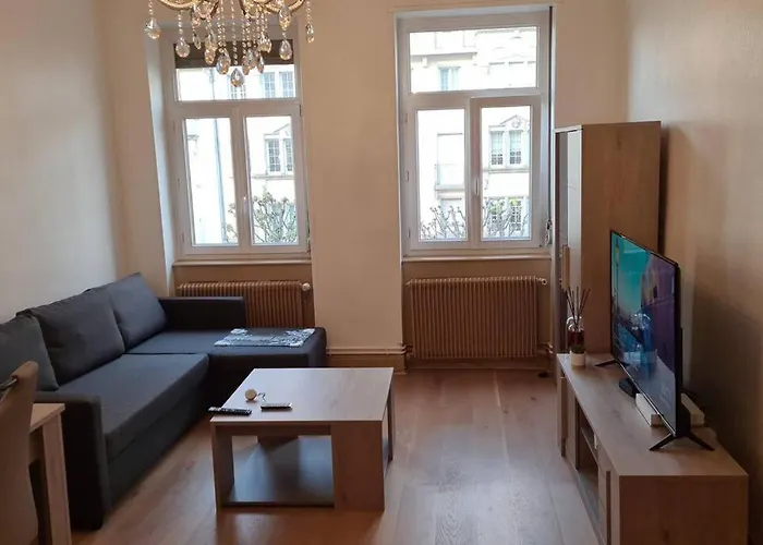Grand 4p Orangerie 7 Personnes Proche D Allemagne * Estrasburgo