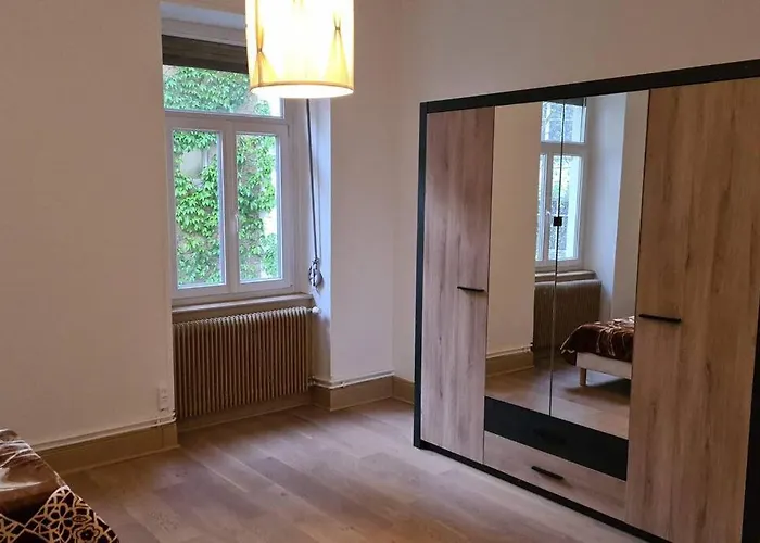 Grand 4p Orangerie 7 Personnes Proche D Allemagne Apartamento